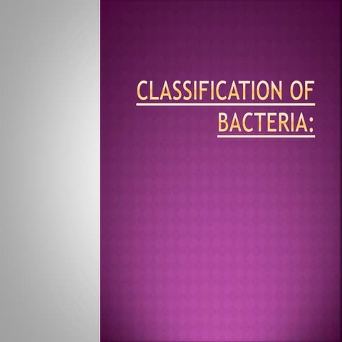 Classification of bacteria