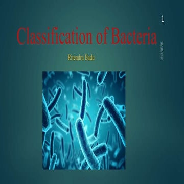 Classification of bacteria