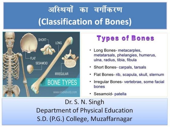 Muscular function by S.N. Singh | PPT