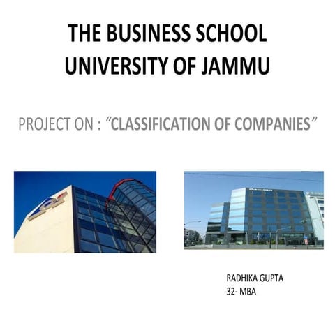 Classification of companies