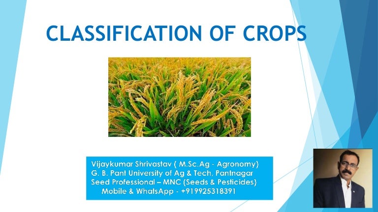Classification of crops