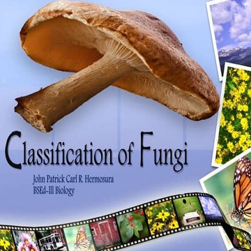 Classification of fungi