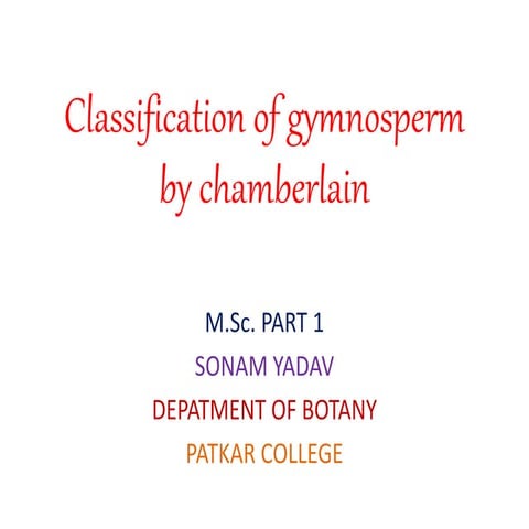 Classification of gymnosperm by chamberlain