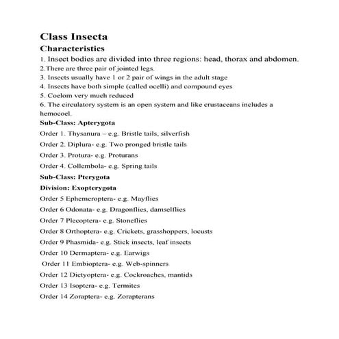 Insect Classification Guide: Orders and Characteristics | PDF