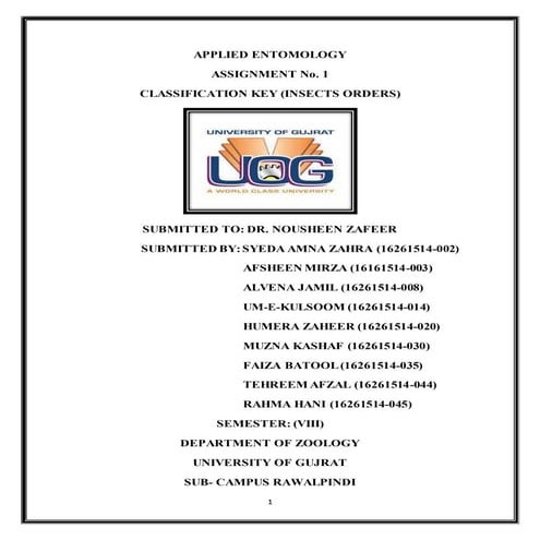 Classification of insects assignment