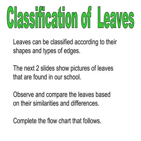 Classification Of Leaves | PPT