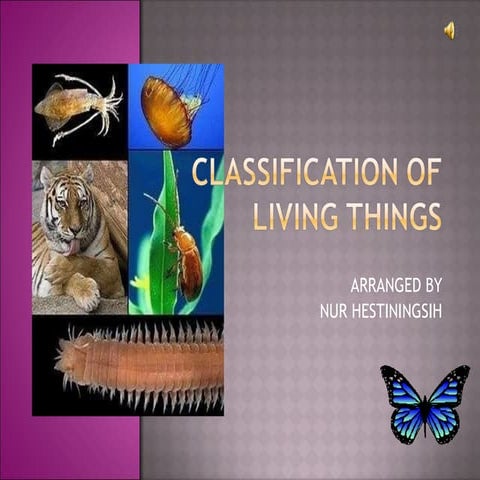 Classification Of Living Things