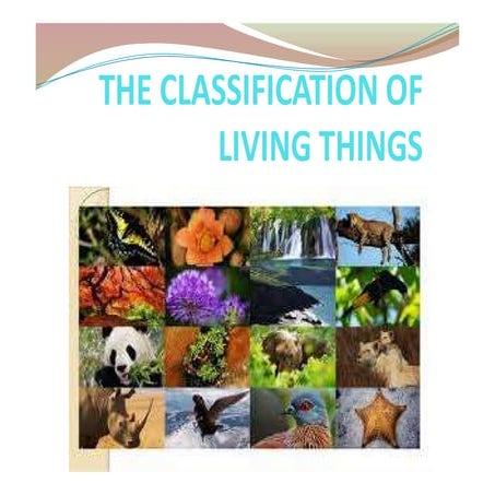 Classification of living things