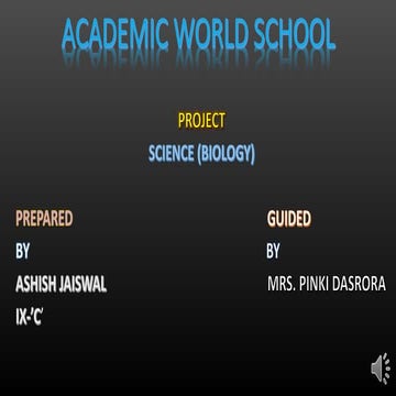 Classification of matter