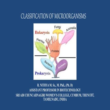 Classification of microorganisms
