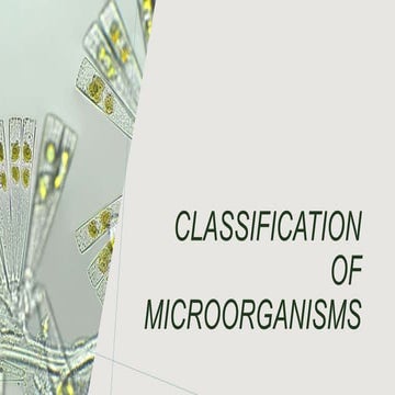 Classification of microorganisms