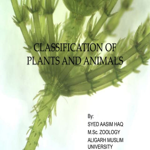 Classification of Plants and Animals By SYED AASIM HAQ