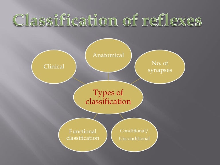 Classification of reflexes