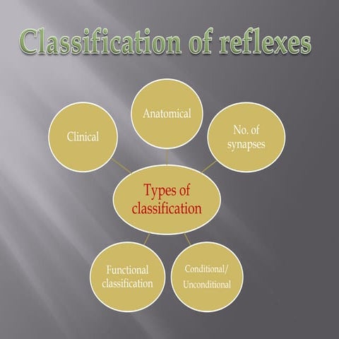 Classification of reflexes