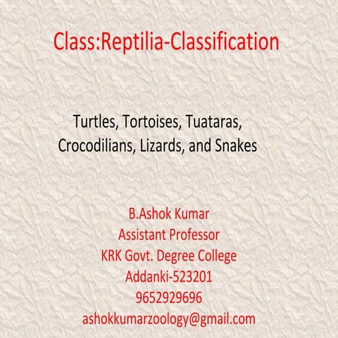 Classification of reptilia