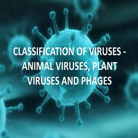Classification of virus