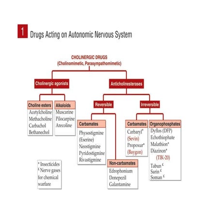 Pharmacology visual data 4