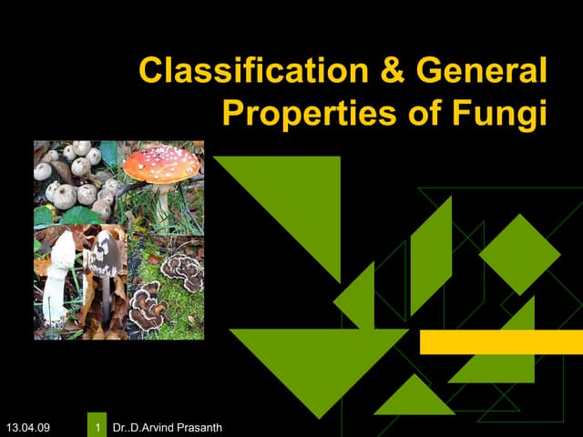 Classification & properties of fungi 