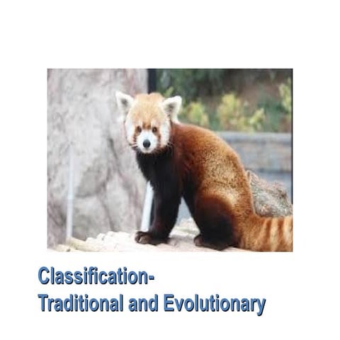 Modern Evolutionary Classification: Understanding Taxonomy, Cladistics ...