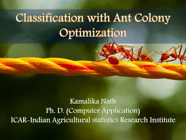 Classification with ant colony optimization