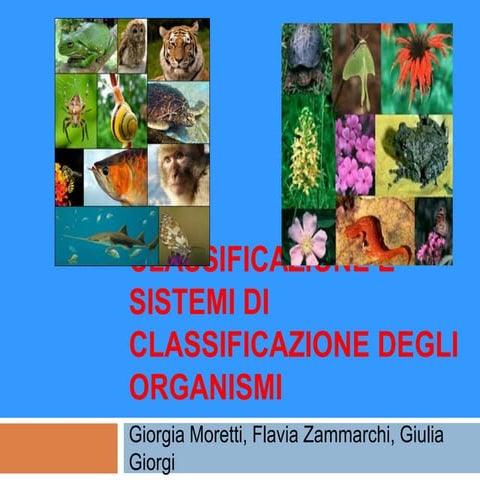 Lo Studio Delle Regole Per La Classificazione Degli Organismi Classificazione e sistemi di classificazione degli organismi | PPT