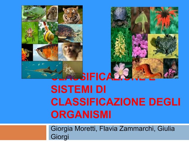 Lo Studio Delle Regole Per La Classificazione Degli Organismi Classificazione e sistemi di classificazione degli organismi | PPT
