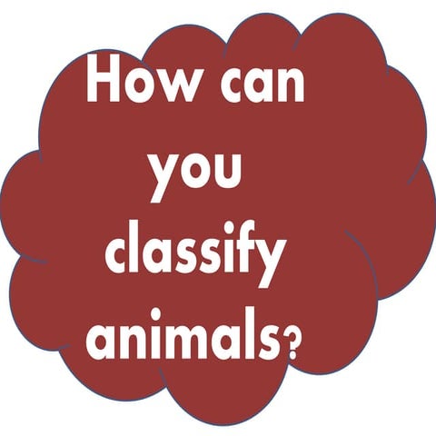 Classify animals