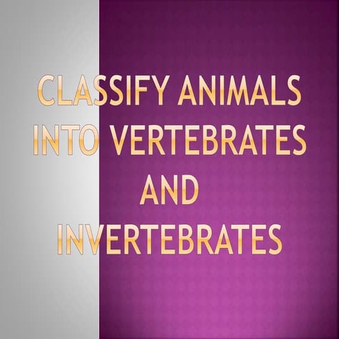 Classify animals into vertebrates and invertebrates