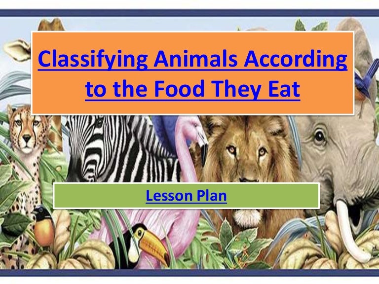Classifying animals according to the food they eat