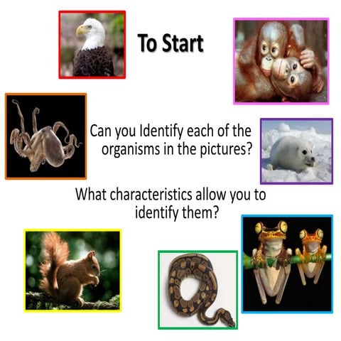 Classifying mr men_-_mine