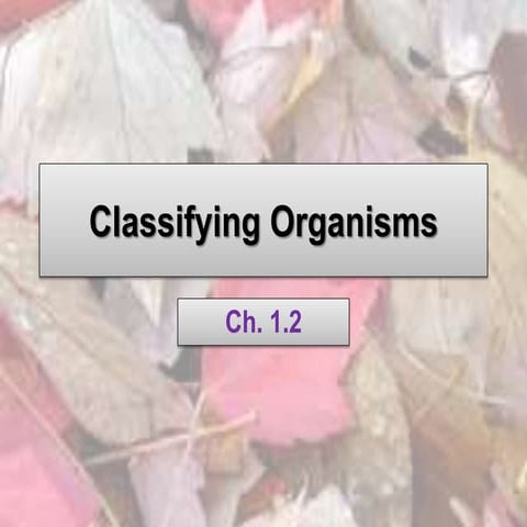Ch. 1.2 Classification of Living Things