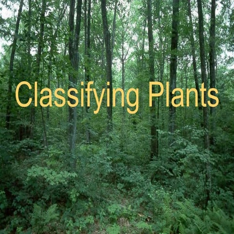 Classifying plants