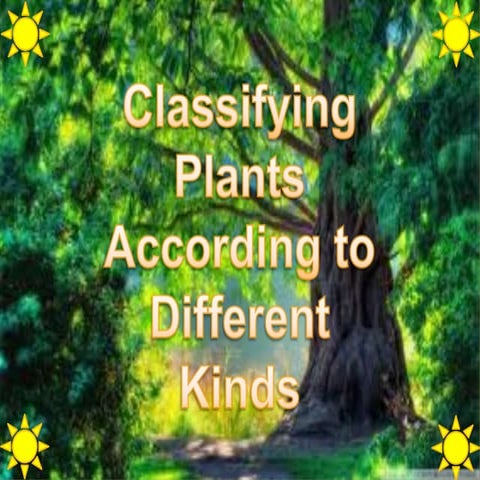 Classifying Plants According to Different Kinds