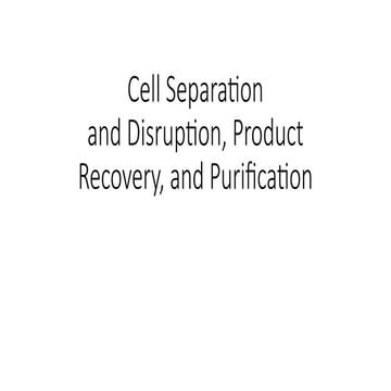 Class Lecture 8_Bioprocess Engineering.pptx