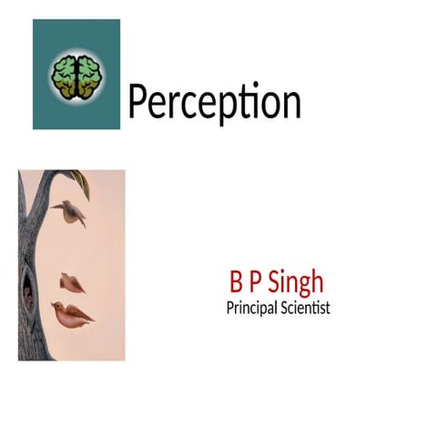 Class Pereception__8.4.25.pptx  rural socilogy classs