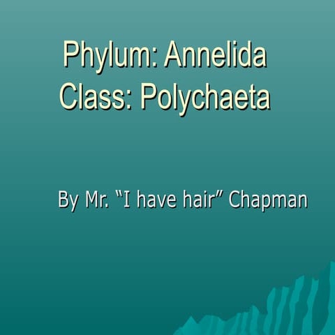 Class Polychaeta Notes