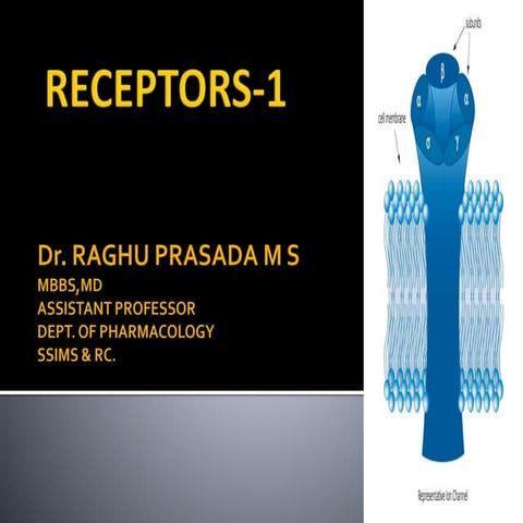Class receptors  1&2