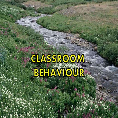 Classroom behaviour