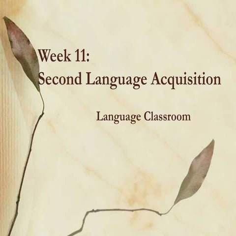 Classroom+language
