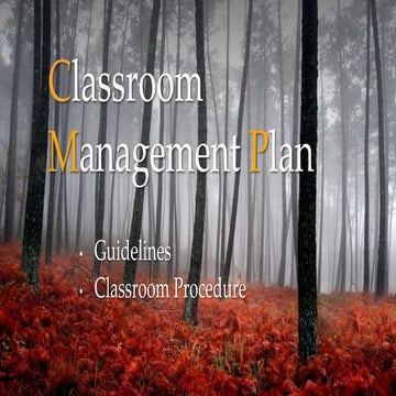 Classroom management plan c