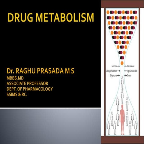 Classs drug metabolism