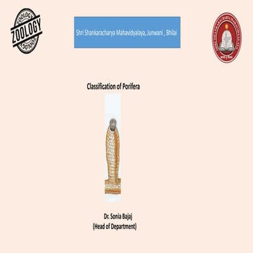 Classification of porifera