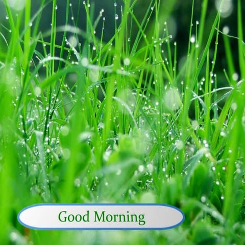 Class six english 2nd paper preposition part 1 