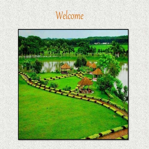 Class six english 2nd paper present continuous tense (2)