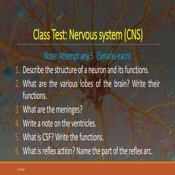 Questions of Central Nervous System