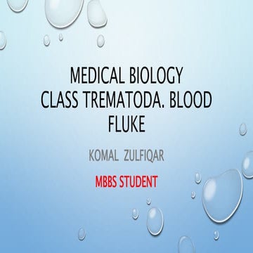 Class trematoda blood fluck