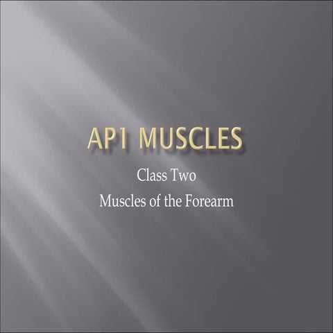 Class Two Ap1 Muscles
