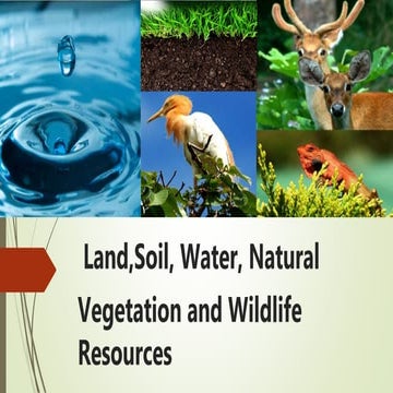 Class viii land soil-water-natural-vegetation-and-wildlife-resources