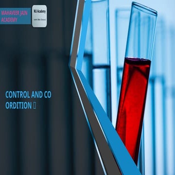 class x control and co ordination ppt mahaveer jain acadamy.pptx.pptx