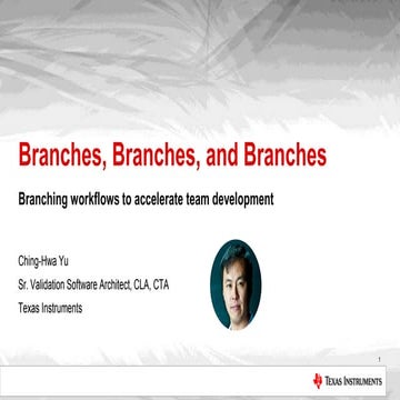 2016 CLA Summit - Branching Workflows for Team Development